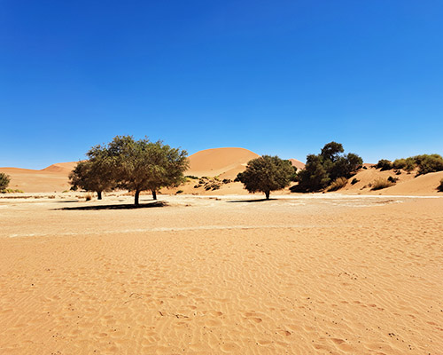 Time to start planning to visit Soussesvlei Soussesvlei Namibia
