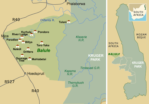 Balule Private Game Reserve shares an unfenced border with the world-famous Kruger National Park