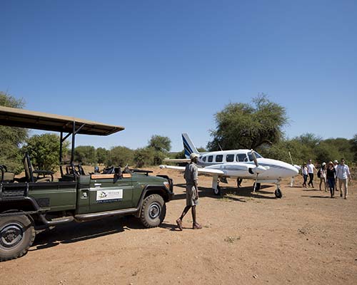 When is the best time to go on a safari to South Africa?