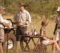 Go SAfari