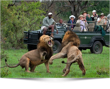 Kruger National Park - Wildlife SAfari Tours