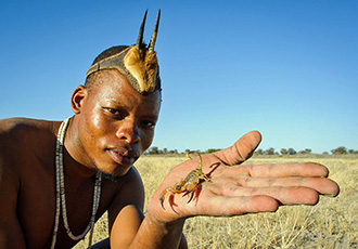 Kalahari Plains
