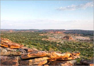 Tuli Safari Lodge