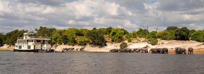 Chobe Princess