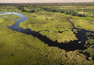 Duba Plaina Camp