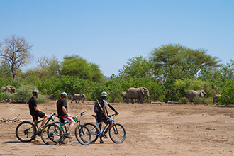 Mashatu Lodge activities