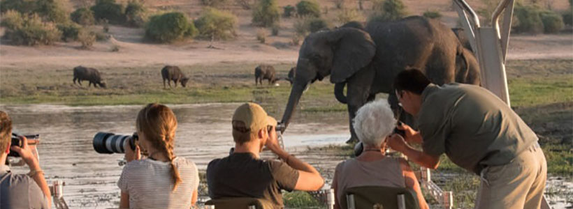 Prefessional help on a Chobe photo safari Photographic safari in Chobe Botswana