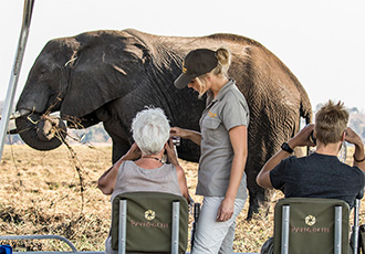 Professional helping guests on a photo safari Photographic safari in Chobe Botswana