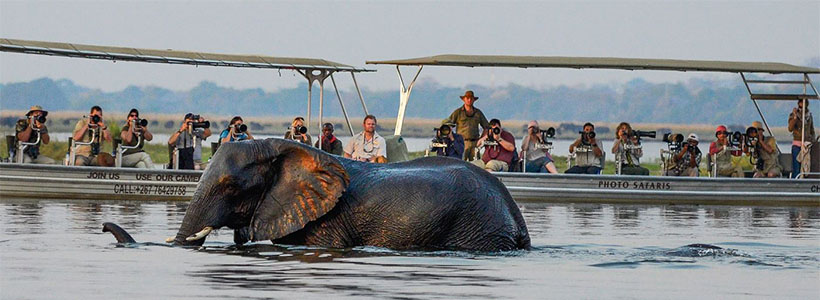 Customized photo boat on the Chobe River Chobe River Photo Safari