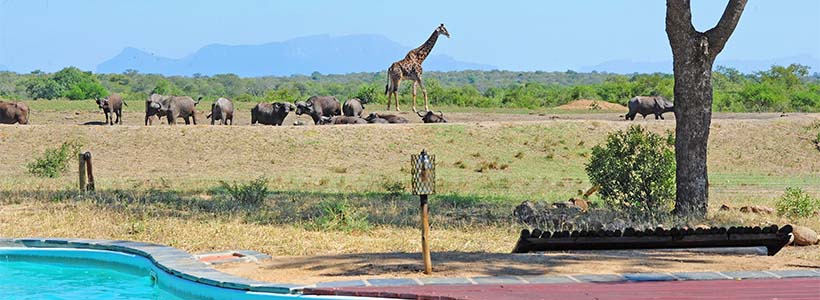 Tangala Safari Camp view Tangala Safari Camp