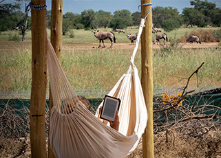 You will have time to relax A True Eco-Safari - Wildlife Conservation in South Africa