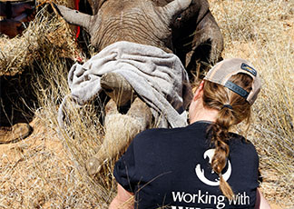 Help with Rhino conservation A True Eco-Safari - Wildlife Conservation in South Africa