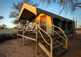 Luxury tented accommodation A True Eco-Safari - Wildlife Conservation in South Africa