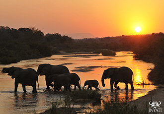 Inyati Game Lodge