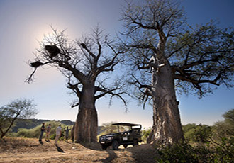 Pafuri Tented Camp