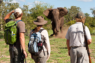 Makumu Private Game Lodge with Go Safari