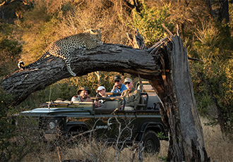 MalaMala Sable Camp