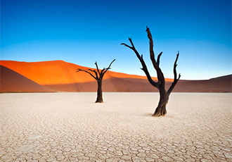 Scheduled safari Namibia